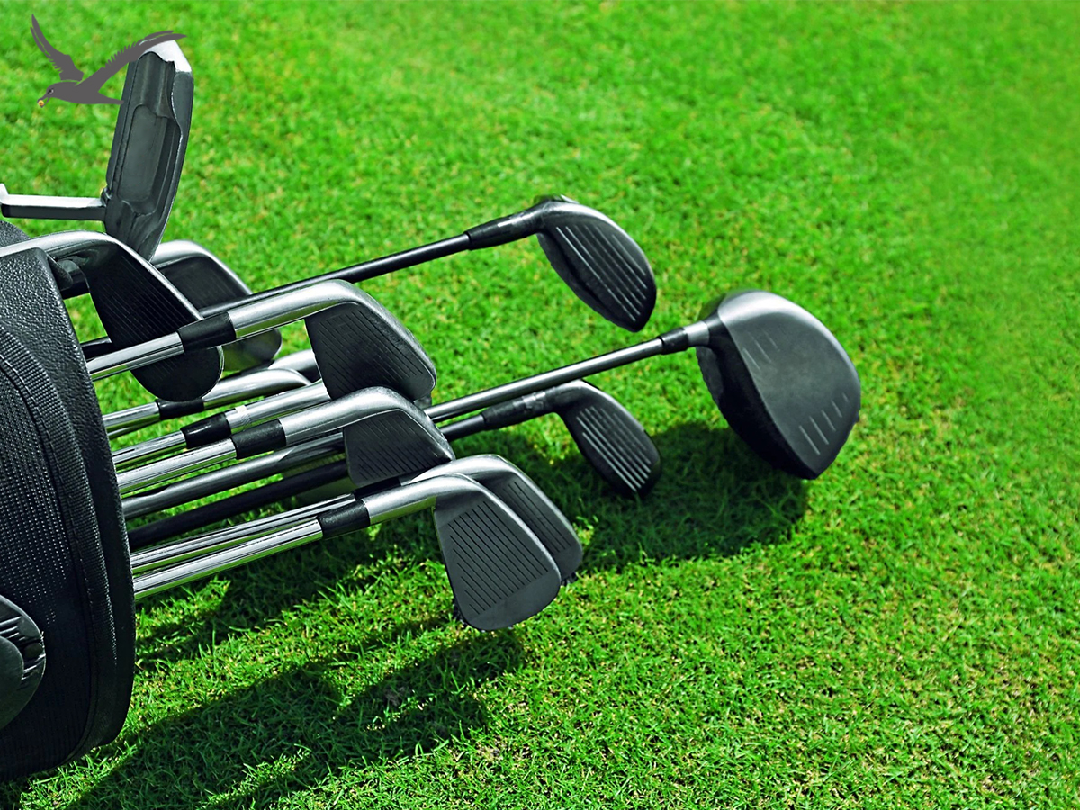 About Golf Club Degrees