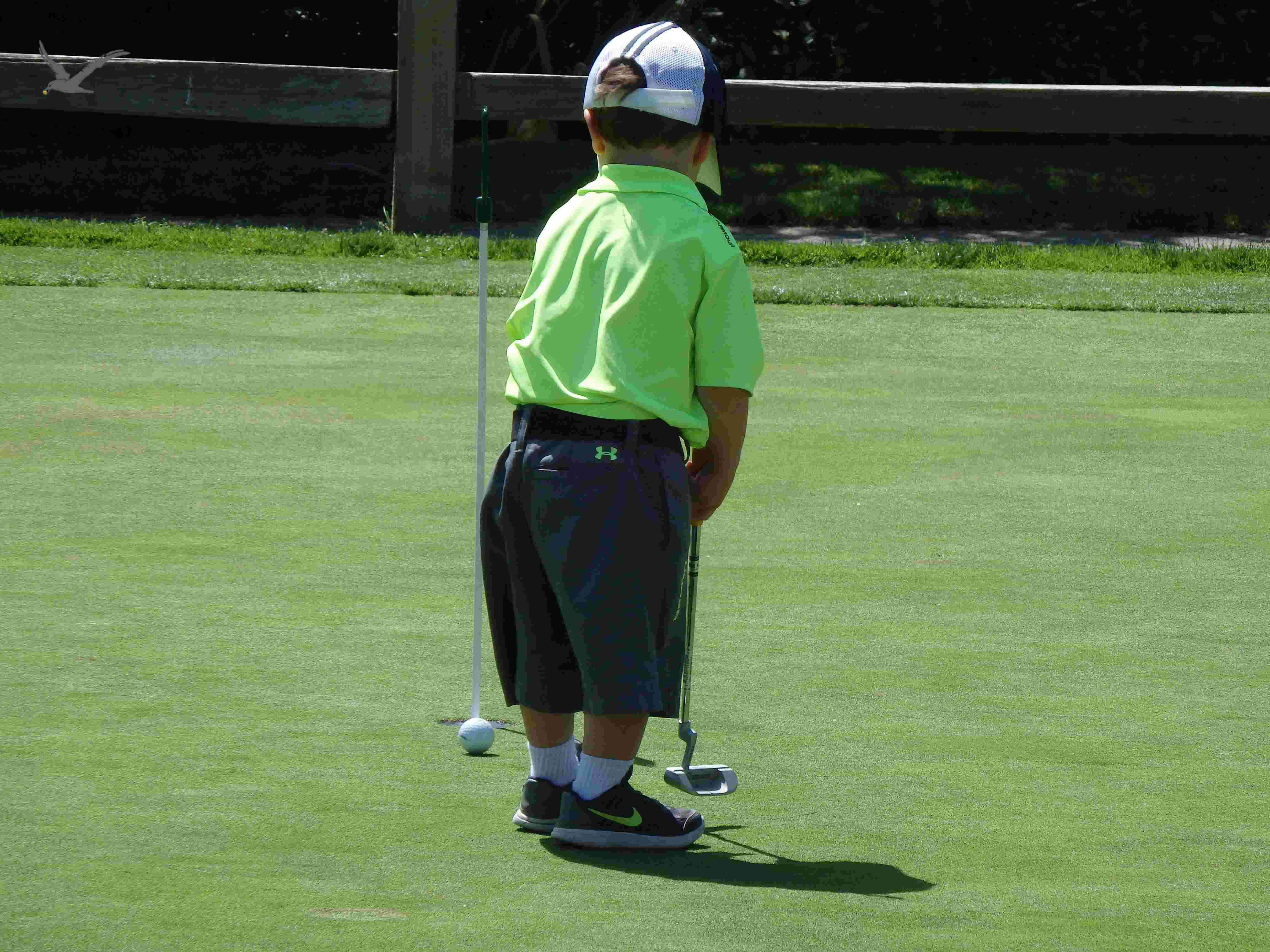The Albatross Sports Shatters 9 Golf Myths Rediscover the Game