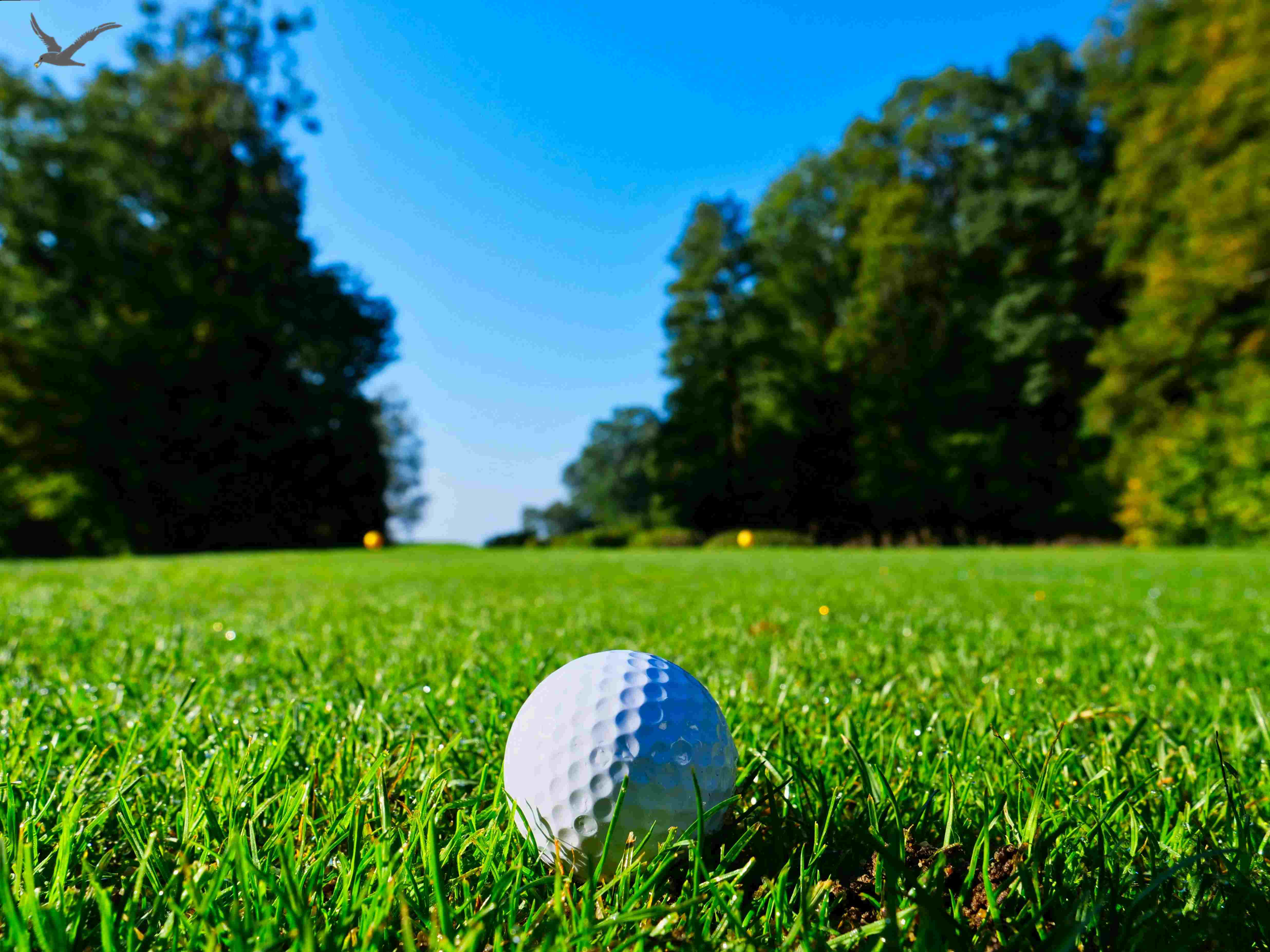Golf Ball Weight Regulations & Industry Trends