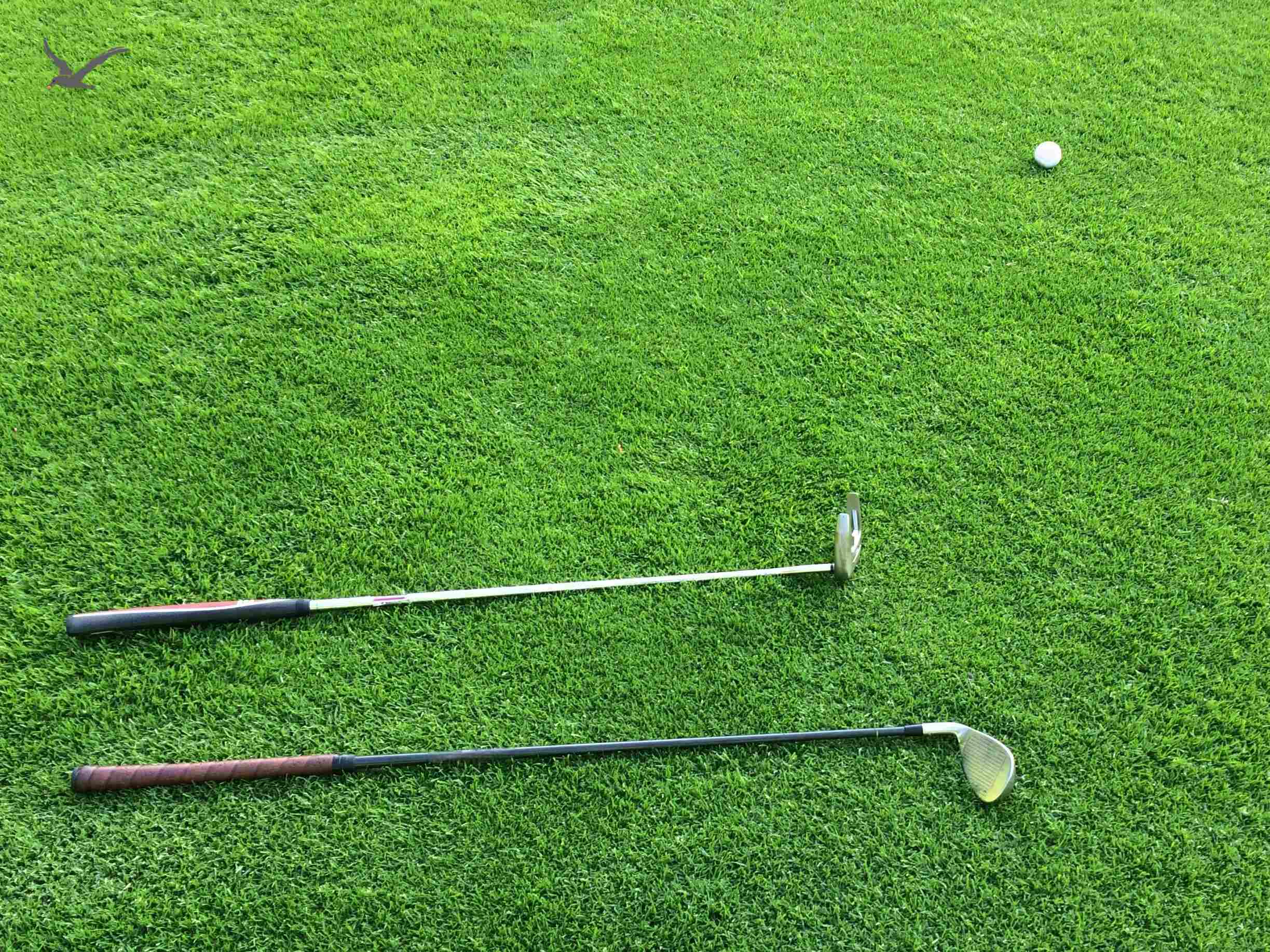 Avoid 9 Mistakes, Ace Your 2025 Golf Season